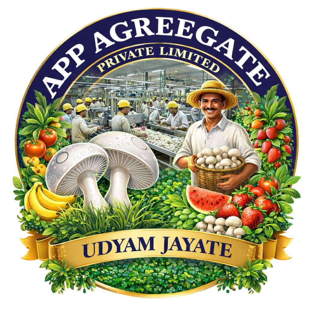 Agreegate Special Offer
